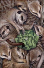 Suntup Editions LIFE OF PI by Yann Martel Numbered Edition Author SIGNED