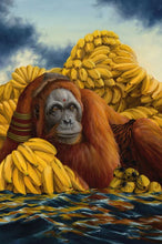 Suntup Editions LIFE OF PI by Yann Martel Numbered Edition Author SIGNED