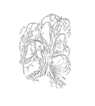 Easton Press J.R.R. Tolkien's The Adventures of Tom Bombadil SEALED